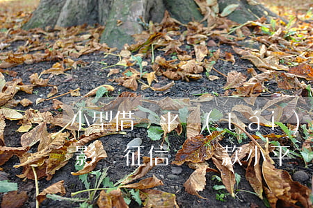 小型借貸平臺(tái)逾期會(huì)影響征信嗎(貸款小平臺(tái)逾期會(huì)不會(huì)上征信)