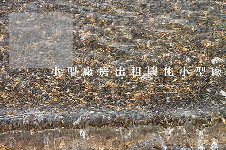 小型廠房出租(興化小型廠房出租)