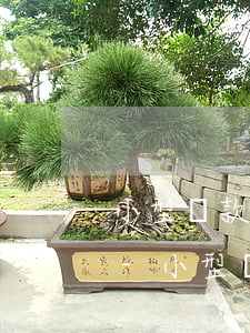 小型貸款公司逾期會(huì)影響征信嗎-小型貸款公司逾期會(huì)影響征信嗎知乎