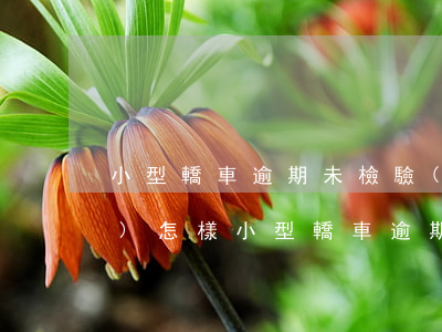 小型轎車逾期未檢驗(yàn)會(huì)怎樣(小型轎車逾期未檢驗(yàn)會(huì)怎樣處理)