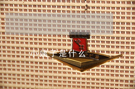 小姨子是什么