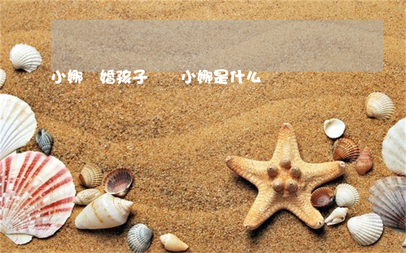 小娜離婚孩子誰帶(小娜是什么)