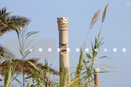 小学学生集体呕吐(小学生最近很多呕吐现象)