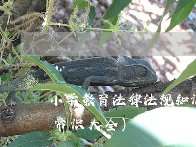 小学教育法律法规知识归纳(小学生法律小常识大全)