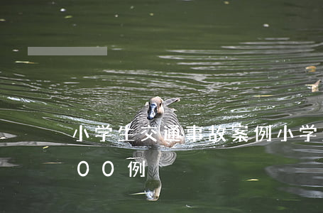 小学生交通事故案例(小学生交通事故案例100例)