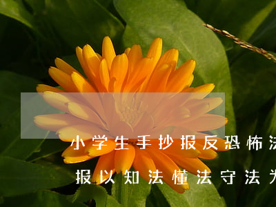 小学生手抄报反恐怖法律法规(小学生手抄报以知法懂法守法为题目的手抄报怎么做)