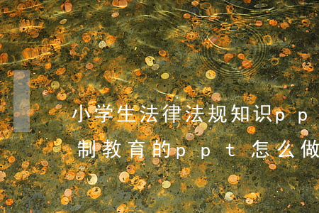 小学生法律法规知识ppt(小学五年级法制教育的ppt怎么做)