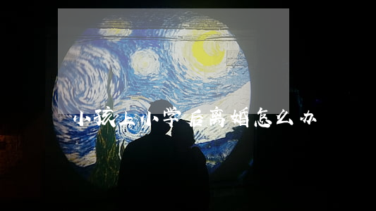 小孩上小学后离婚怎么办