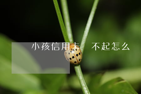 小孩信用卡還不起怎么辦(孩子信用卡)