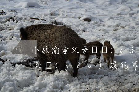小孩偷拿父母錢財(cái)送去派出所，是否構(gòu)成犯罪