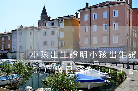 小孩出生證明(小孩出生證明丟了怎么補(bǔ)辦,已經(jīng)上戶口了)