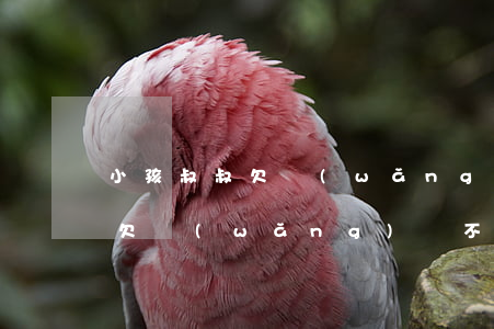 小孩叔叔欠網(wǎng)貸不還(小孩叔叔欠網(wǎng)貸不還,會影響我家孩子當(dāng)兵不)