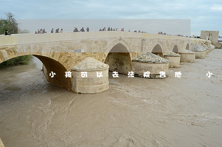 小孩可以去法院告他嗎(小孩子可以上法庭嗎)