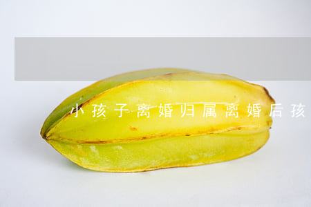 小孩子离婚归属(离婚后孩子的归属问题)