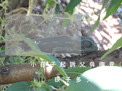 小孩子起訴父毋撫養(yǎng)費(fèi)(孩子多大可以起訴父母一方拿撫養(yǎng)費(fèi))