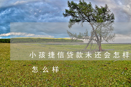 小孩捷信贷款未还会怎样(捷信贷手机不还会怎么样)
