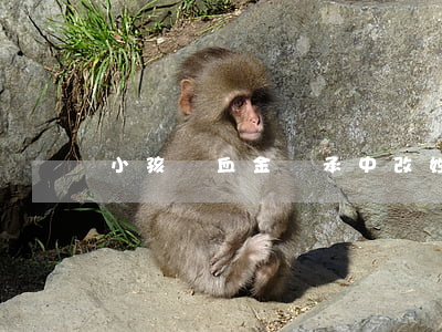 小孩撫血金繼承中改姓受影響嗎