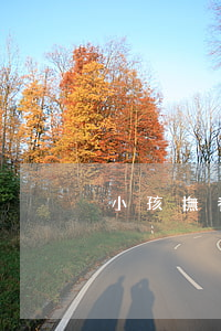 小孩撫養(yǎng)協(xié)議