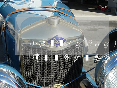 小孩撫養(yǎng)權(quán)官司律師費多少錢(要孩子撫養(yǎng)權(quán)請律師需要多少錢)