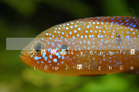 小孩撫養(yǎng)費(fèi)標(biāo)準(zhǔn)是多少(現(xiàn)在孩子的撫養(yǎng)費(fèi)最低標(biāo)準(zhǔn)是多少錢)