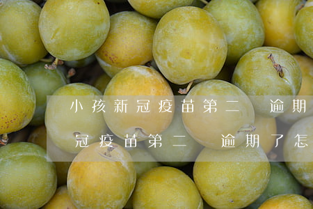 小孩新冠疫苗第二針逾期了怎么辦-小孩新冠疫苗第二針逾期了怎么辦理