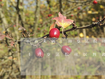 小孩未满1周岁法院可以判离婚吗(小孩未满1周岁法院可以判离婚吗)