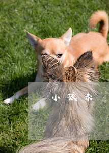 小孩未滿兩歲離婚歸誰(孩子未滿兩歲離婚歸誰)