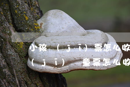 小孩機(jī)票怎么收費(fèi)(飛機(jī)兒童票怎么收費(fèi))