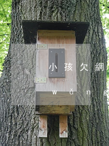 小孩欠網(wǎng)貸29萬(25歲網(wǎng)貸欠了十幾萬)