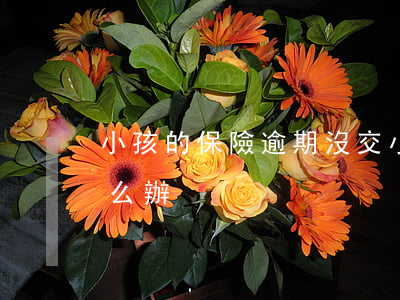 小孩的保險逾期沒交(小孩的保險逾期沒交怎么辦)