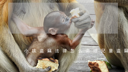 小孩盜竊法律怎么處理(兒童盜竊怎么處理)
