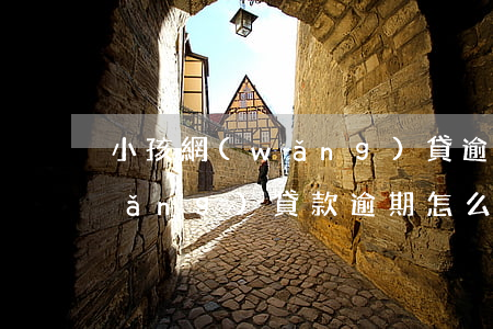 小孩網(wǎng)貸逾期怎么處理(網(wǎng)貸款逾期怎么辦)
