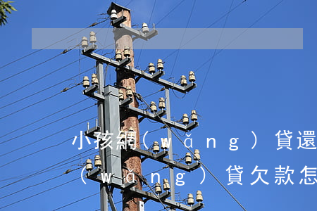 小孩網(wǎng)貸還不起怎么辦(小孩網(wǎng)貸欠款怎么辦)