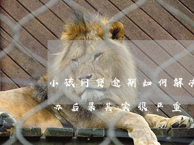 小孩网贷逾期如何解决好(网上贷款逾期怎么办?后果其实很严重)