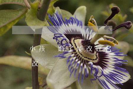 小孩離婚了能改姓名嗎(離婚后小孩名字可以改嗎)