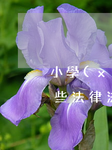 小學(xué)生應(yīng)該遵守那些法律法規(guī)(小學(xué)生需要遵守哪些法律法規(guī))