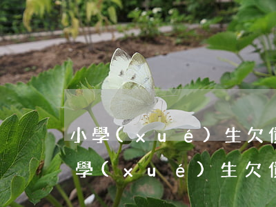 小學(xué)生欠債無(wú)力償還(小學(xué)生欠債無(wú)力償還的原因)