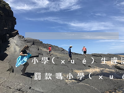 小學(xué)生違法違規(guī)可以罰款嗎(小學(xué)生違法行為有哪些)