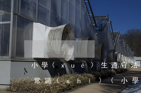 小學(xué)生遵守法律法規(guī)常識(shí)(小學(xué)生需要遵守哪些法律法規(guī))