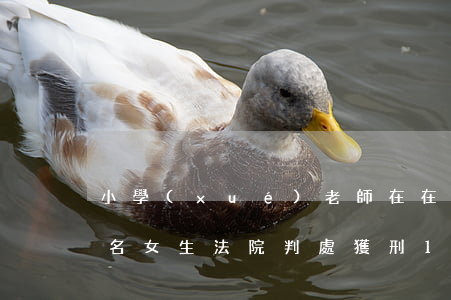 小學(xué)老師在在任職期間侵害15名女生，法院判處獲刑13年