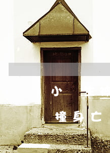 小學生被門砸身亡(小學生校內(nèi)被撞身亡)