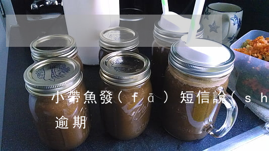 小帶魚發(fā)短信說(shuō)貸款逾期