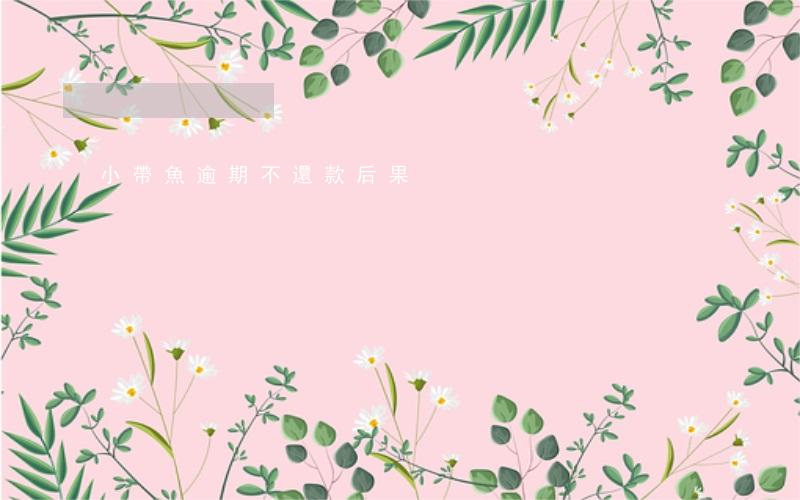 小帶魚逾期不還款后果