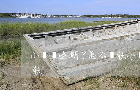 小帶魚逾期了怎么還款(小帶魚逾期了怎么還款)