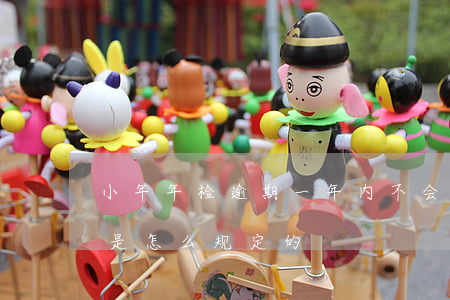 小年年检逾期一年内不会罚款吗-小年年审是怎么规定的