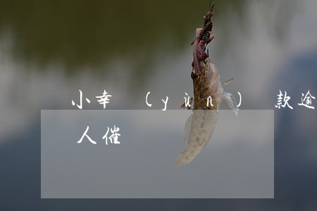 小幸運(yùn)貸款逾期也沒(méi)人催