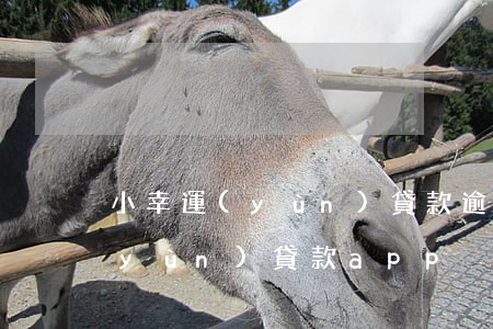 小幸運(yùn)貸款逾期怎么辦(小幸運(yùn)貸款app)