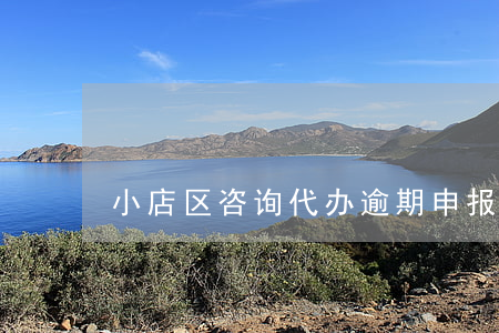 小店区咨询代办逾期申报哪家好-