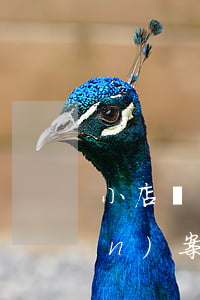 小店區(qū)債務(wù)債權(quán)案件律師信息中心-小店區(qū)債務(wù)債權(quán)案件律師信息中心電話