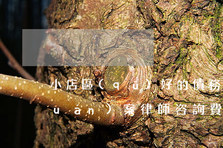 小店區(qū)好的債務(wù)債權(quán)案律師咨詢費(fèi)-太原債權(quán)債務(wù)律師